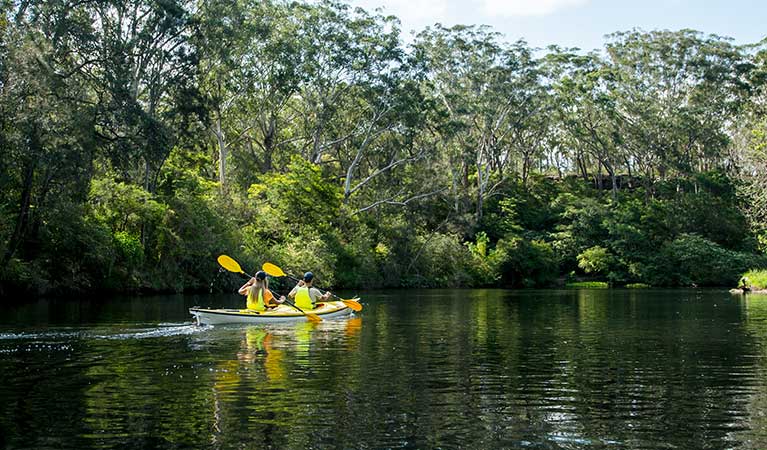 Paddle boating and BBQ at Lane Cove National Park